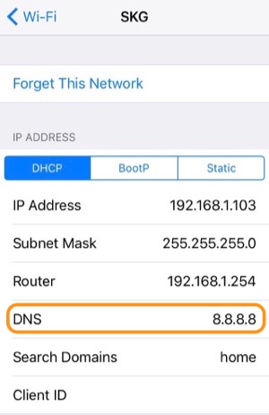 How to change dns on iphone without wifi